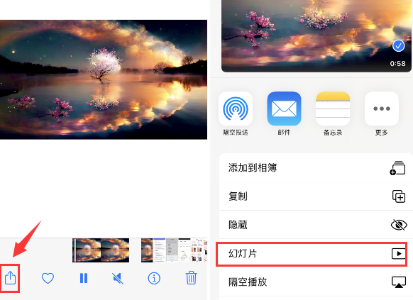 东海苹果14维修店分享iPhone14相册视频如何循环播放 