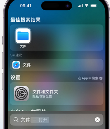 东海apple维修中心分享iPhone文件应用中存储和找到下载文件 