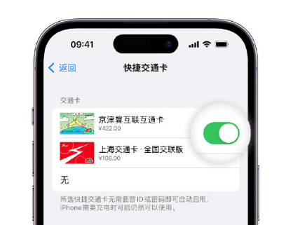 东海apple维修点分享iPhone上更换Apple Pay快捷交通卡手绘卡面 