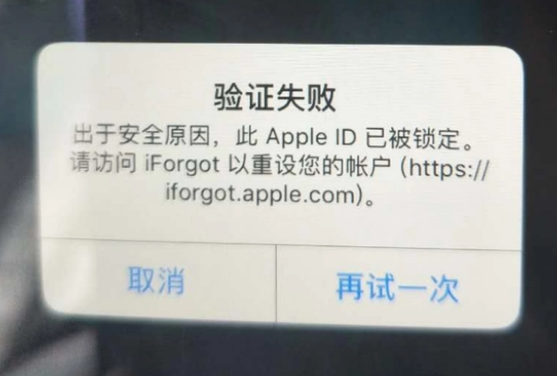 东海iPhone维修分享iPhone上正常登录或使用AppleID怎么办 