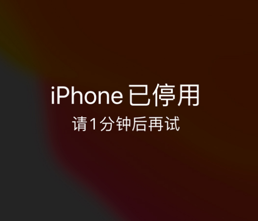 东海苹果手机维修分享:iPhone 显示“不可用”或“已停用”怎么办？还能保留数据吗？ 