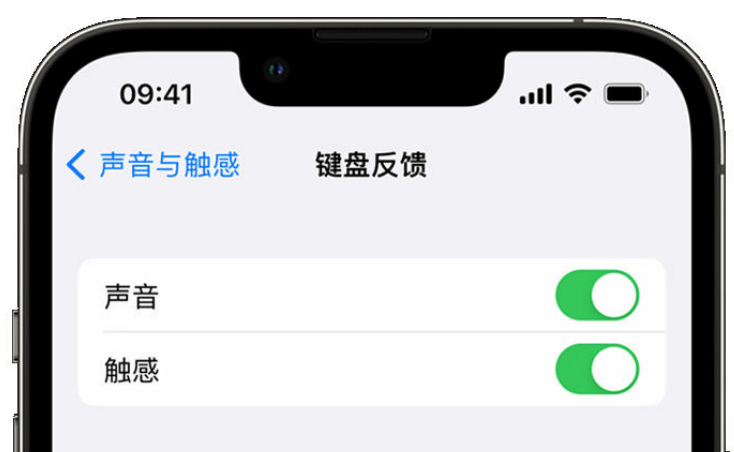 东海苹果手机维修分享iPhone 14触感键盘使用方法 