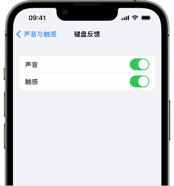 东海苹果14维修店分享如何在 iPhone 14 机型中使用触感键盘 