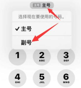 东海苹果14维修店分享iPhone 14 Pro Max使用副卡打电话的方法 