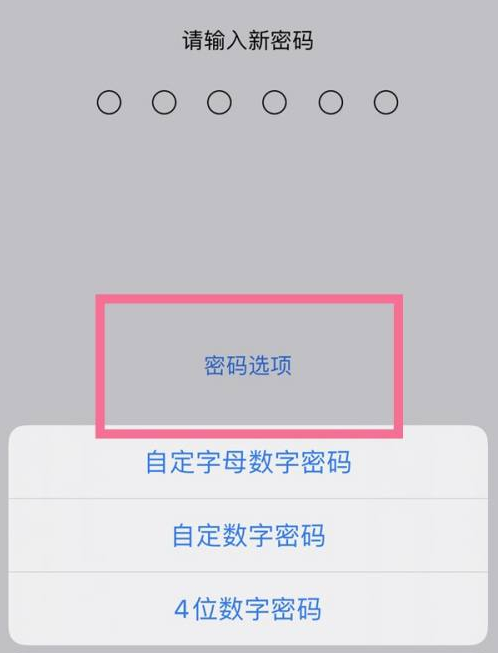 东海苹果14维修分享iPhone 14plus设置密码的方法 