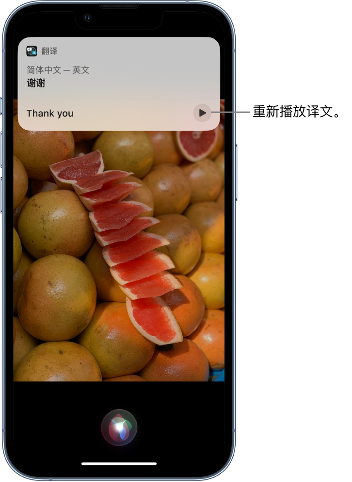 东海苹果14维修分享 iPhone 14 机型中使用 Siri：了解 Siri 能帮你做什么 