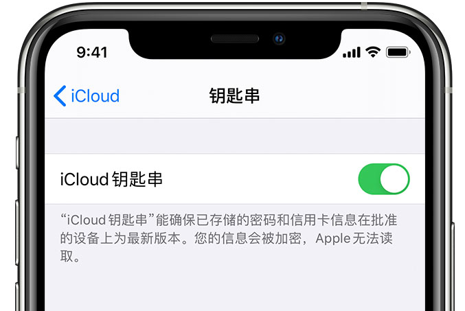 东海苹果手机维修分享在 iPhone 上开启 iCloud 钥匙串之后会储存哪些信息 