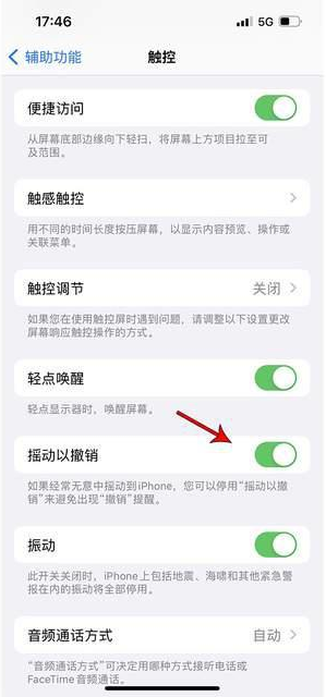 东海苹果手机维修分享iPhone手机如何设置摇一摇删除文字 