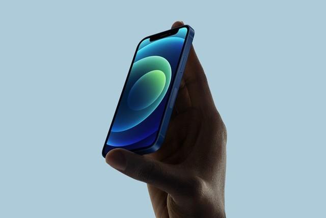 东海苹果手机维修分享iPhone 12 mini辐射很大吗 